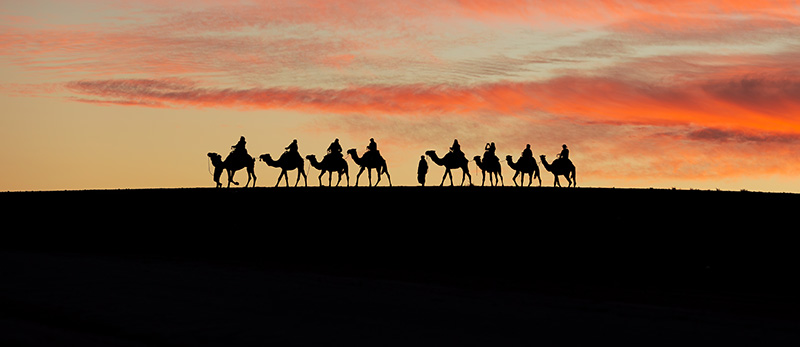 Camel-Ride.jpg