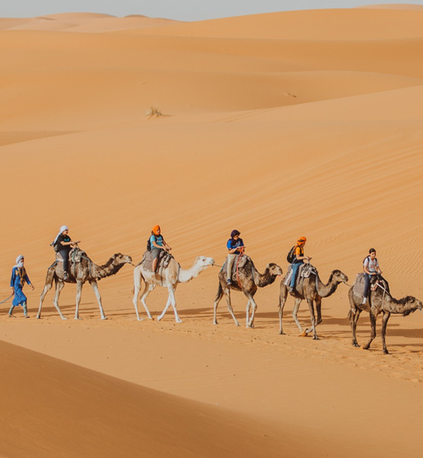 morocco-4.3.jpg