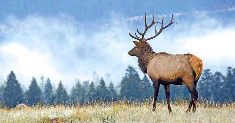 scenic-canada.jpg