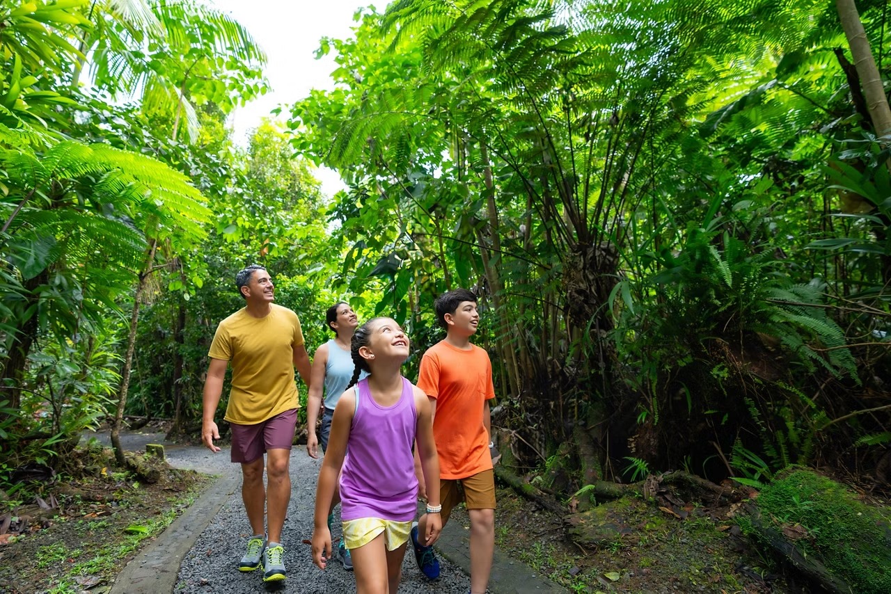 imgi_17_family-walking-nature-trail-dominica-emerald-pool.jpeg